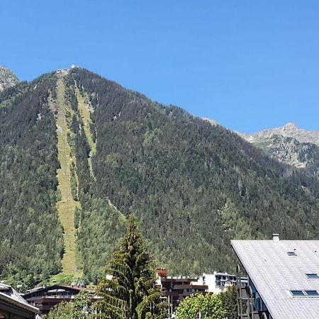 Nice 32M With Balcony View On The Mountain 霞慕尼 外观 照片