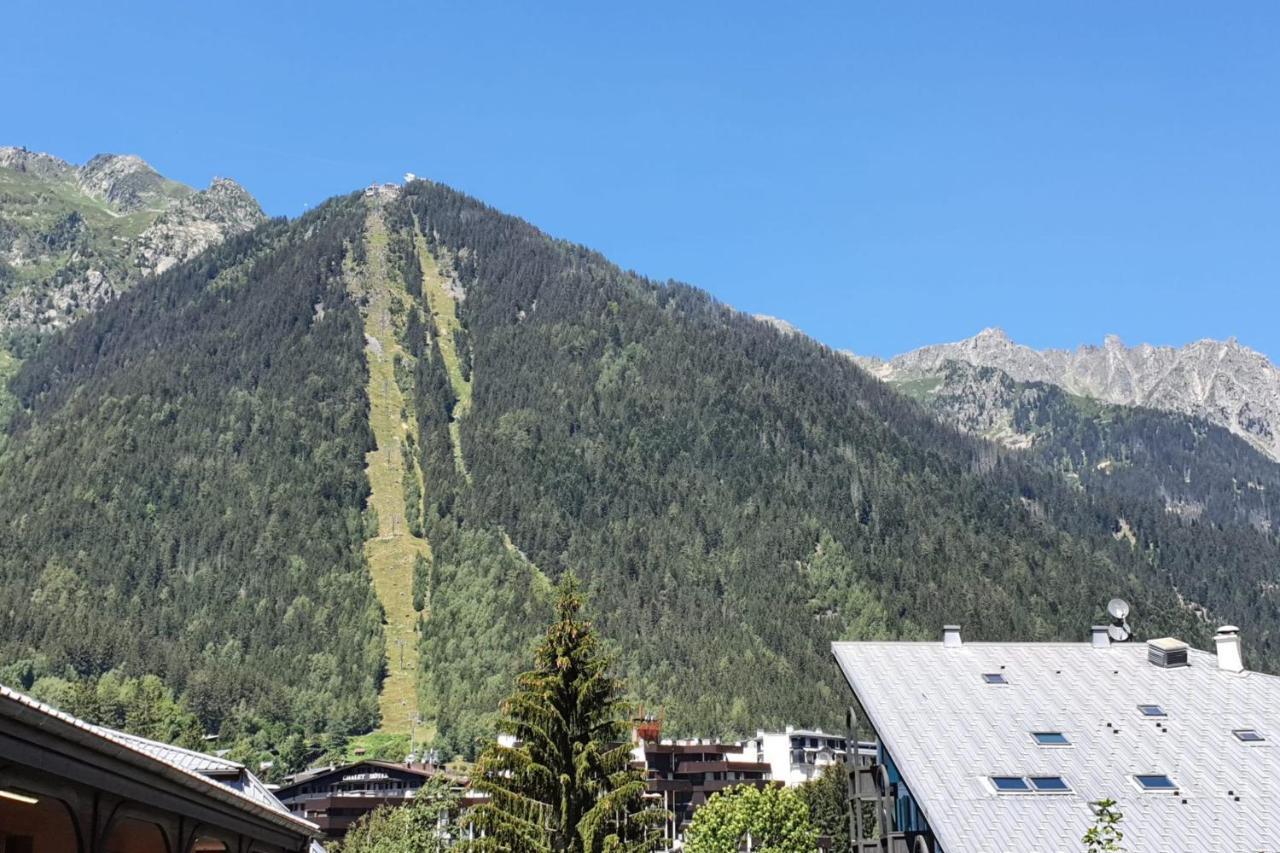 Nice 32M With Balcony View On The Mountain 霞慕尼 外观 照片